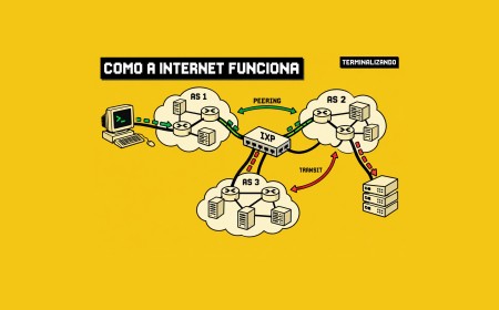 Roteamento e o mito da 'internet como nuvem única'
